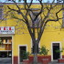 Rincon Tarasco-imagen