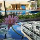 MariaCarmenPool