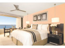 Img - De lujo vista tropical