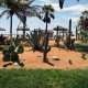 jardin2