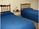 Img - Estándar