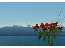 Img - Triple vista al lago