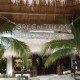 Entrance Green Tulum
