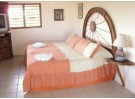 Img - Superior hibiscos