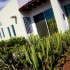 Los Arroyos Verdes