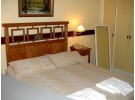 Img - Estándar