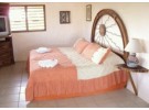 Img - Superior azalea