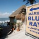 jungle-tour-blue-ray-marina