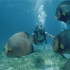 Buceo en Arrecife en Cancún