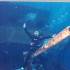 logo Buceo en Barco Hundido en Cancún