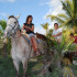 Paseo a Caballo en Playa Maroma
