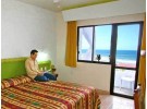 Img - Estándar