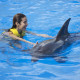 Nada con el delfín y acarícialo SWIM pet