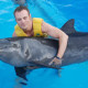 Nado interactivo con delfines Cancún TRAINER interact