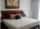 Img - Suite