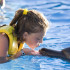 Nado Interactivo con Delfines Cancún