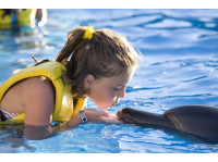 Logo tour Nado Interactivo con Delfines Cancún