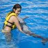 Nado y Paseo con Delfines Cancún