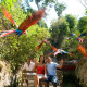 01_UXM_Parque_b-xcaret