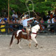 02_Caballos-xcaret