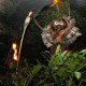 02_GrutasPMaya-xcaret