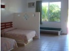 Img - Estándar