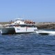 vallarta-adventures-marietas-catamaran