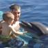Dolphin Encounter