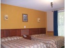 Img - Estándar