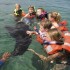 Snorkel with Sea Lions at Las Caletas