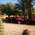 Rhino Tour