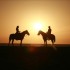 Paseo a Caballo