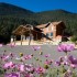 Bosques de Monterreal - images