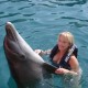 Delfiniti Abrazo,Swim with Dolphins