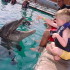 Delfiniti Family