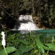 Bahías Plus Tour de casacadas y Finacas Cafetaleras (34)