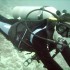 Night Dive in Ixtapa