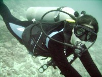 Tour logo Night Dive in Ixtapa