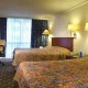 standard room doble
