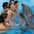 Encuentro con Delfines