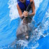Signature Swim (Nado con Delfines)