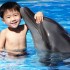 Dolphin Kids