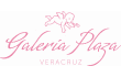 Logo Hotel Galería Plaza Veracruz