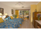 Img - De lujo Palmar