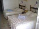 Img - Estándar