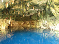 Logo tour Tour de Cenotes