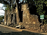 Tour logo Cempoala and Antigua Tour