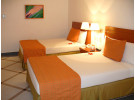 Img - Estándar