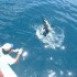 Pesca Deportiva