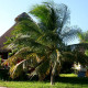 Villas Delfines Holbox 123